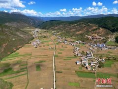四川乡城：千亩青稞扮靓白藏房